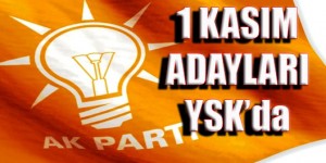 ak_parti -aday - ysk