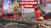 Çankırı Ilgaz’da Orman Yangını, Dönüm Orman Yandı