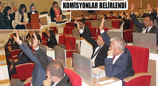 Ataşehir Belediye Meclisi İhtisas Komisyonları ve Üyeleri Belirlendi