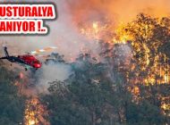 Avustralya Yok Oluyor: Korkunç Yangında 480 Milyon Hayvan Öldü