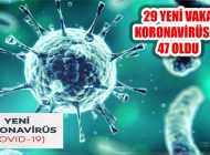 Türkiye’de 29 Yeni Tanıyla Koronavirüs Tanılı Hasta 47 Oldu