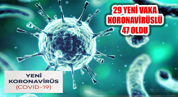 Türkiye’de 29 Yeni Tanıyla Koronavirüs Tanılı Hasta 47 Oldu