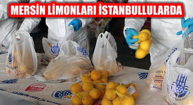 Mersin’den Gelen Limonlar İstanbullulara Dağıtılıyor