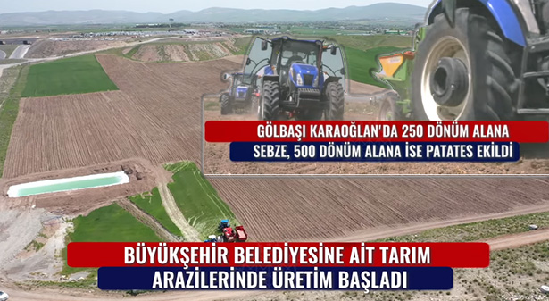 Ankara Büyükşehir Belediyesi 750 Dönüm Arazide Ekim Yapıyor