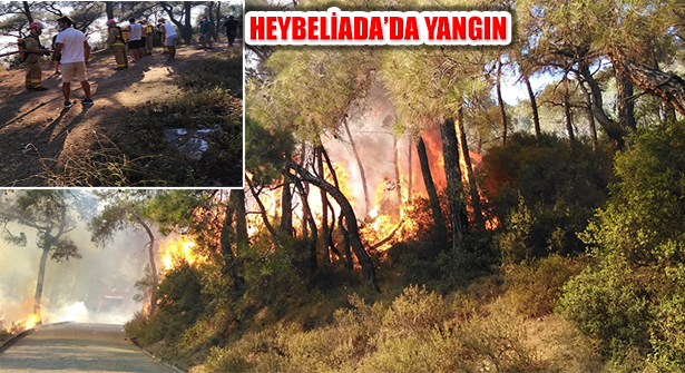 İstanbul, Heybeliada, Heybeliada Yangın Kontrol Altına Alındı