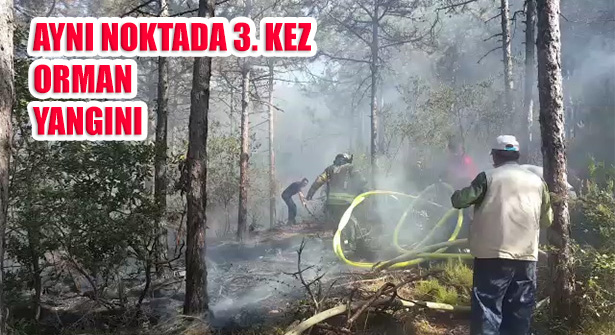 Kayışdağı Ormanında Aynı Noktada Üçüncü Kez Yangın Çıktı