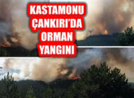 Çankırı Yapraklı ve Kastamonu Taşköprü’de Orman Yangını