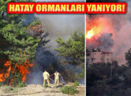 Hatay Valiliği, ‘Orman Yangını Sabotaj Soruşturması Devam Ediyor’