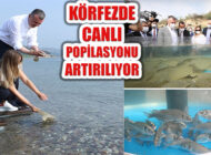 Kocaeli Büyükşehir Belediyesi Balığı Körfez İle Buluşturuyor