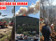 Heybeliada Orman Yangını: İtfaiye, OGM ve Halkın Çabalarıyla Kontrol Altına