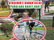 Ataşehir’in Parklarında Bakım ve Budama Çalışmaları Hızlandı
