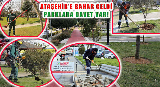 Ataşehir’in Parklarında Bakım ve Budama Çalışmaları Hızlandı
