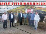 Ataşehir Belediyesi Kurban Pazarları Ve Kurban Satış Yerlerini Denetledi