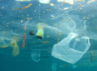 Okyanusların Tabanında 14 Milyon Tondan Fazla Mikroplastik Birikti!
