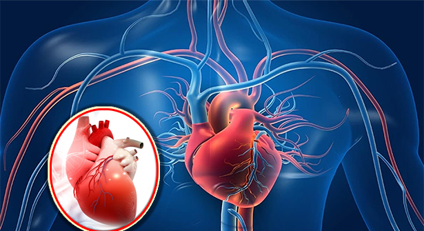Kalp ve Damar Sağlığını Korumanın 10 Yolu