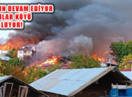 Tosya Yağcılar Köyü Yangınına Çok Sayıda İtfaiye Ekibi Müdahale Ediyor