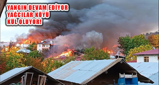 Tosya Yağcılar Köyü Yangınına Çok Sayıda İtfaiye Ekibi Müdahale Ediyor