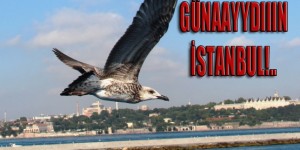 gunaydin _istanbul