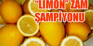 zam-sampiyonu-limon